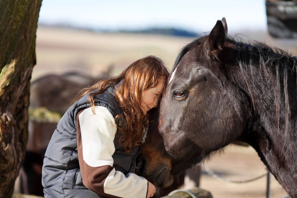 Een paard liegt niet